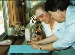 Image-Rehab Teacher